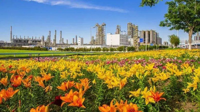 环保型表面活性剂：价格背后的价值考量